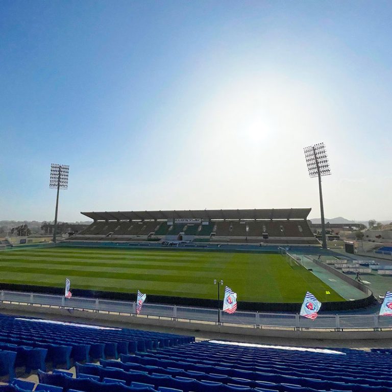 Prince Sultan Bin Abdul Aziz Stadium